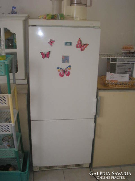 Discounted 2 older, well-functioning refrigerators with freezer section + Lehel zanussi 260 liter