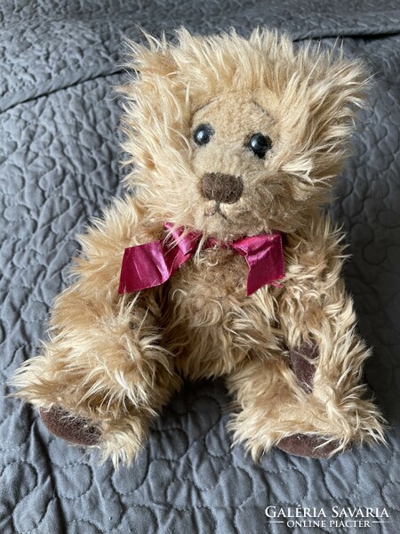 Medium-sized teddy bear with long fur