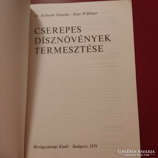 Cserepes dísznövények termesztése