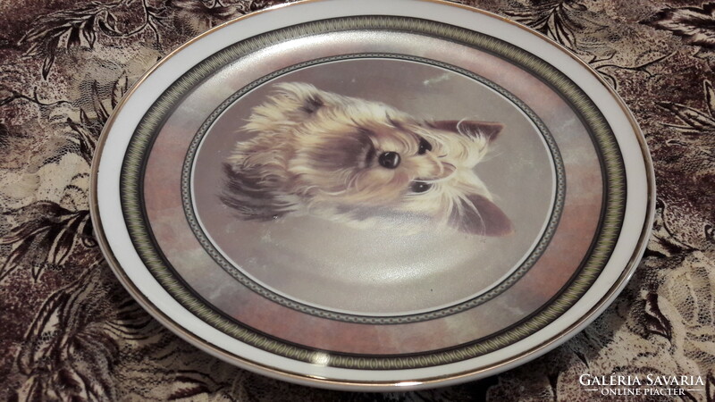 Terrier dog porcelain plate, decorative plate, wall plate (l3062)