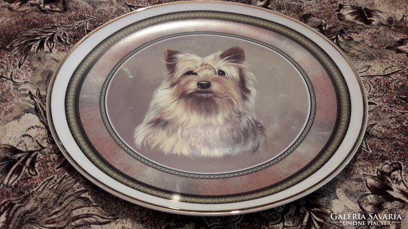Terrier dog porcelain plate, decorative plate, wall plate (l3062)