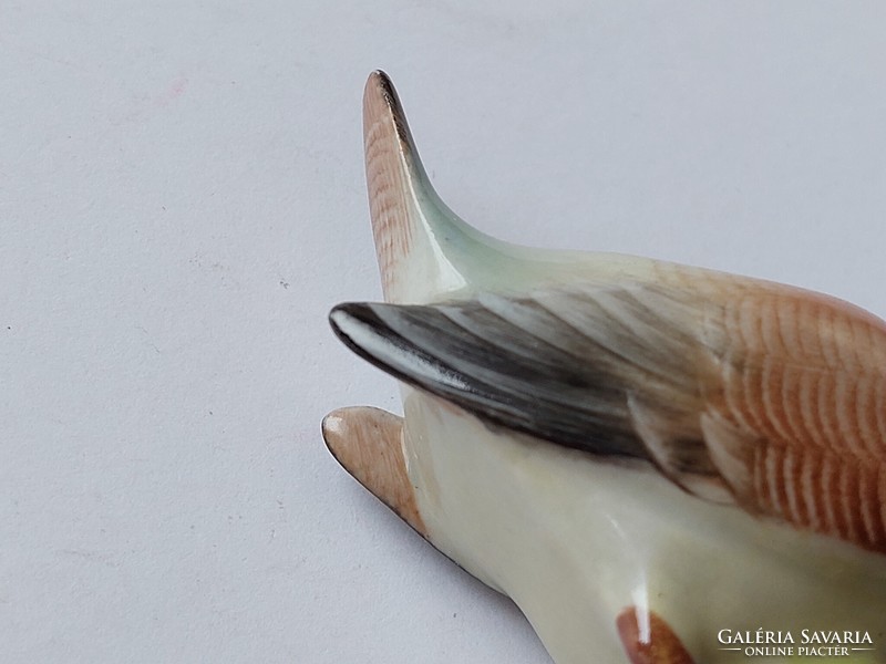 Old drasche porcelain bird