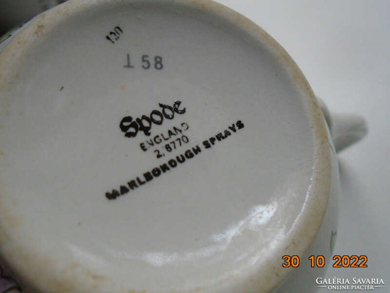 Spode marlborough sprays with a spectacular large floral pattern teacup coaster