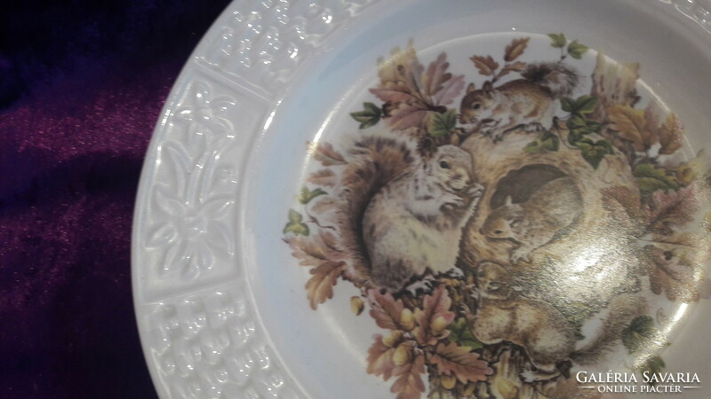 Squirrel porcelain plate, children's plate (l2992)