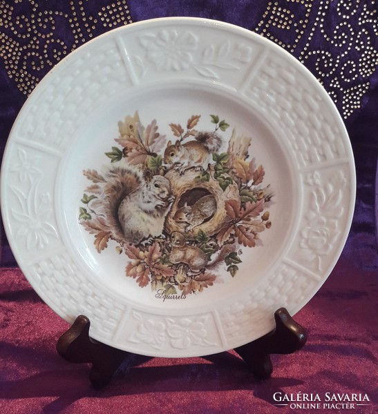 Squirrel porcelain plate, children's plate (l2992)