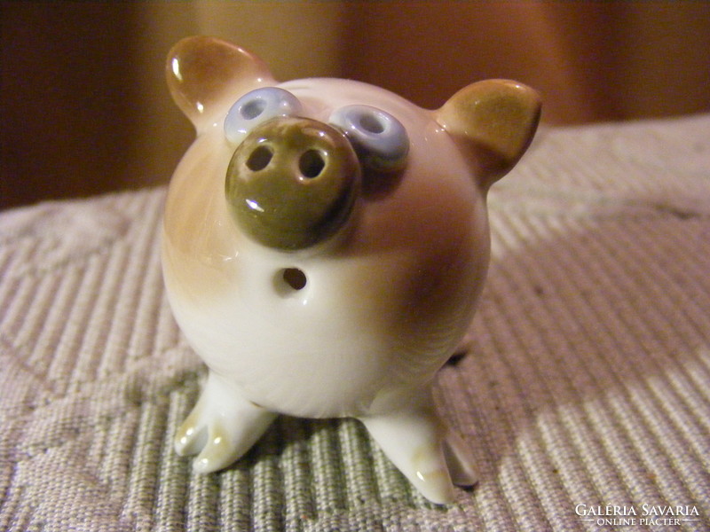 Porcelain mini pig
