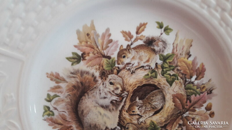 Squirrel porcelain plate, children's plate (l2992)