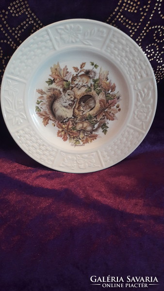 Squirrel porcelain plate, children's plate (l2992)