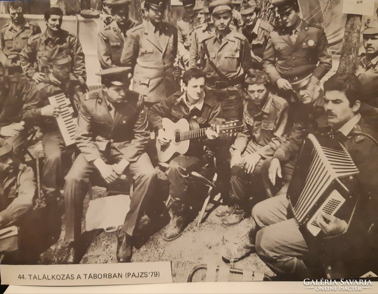 Pajzs '79 military exercise photos
