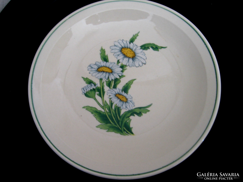 2 daisy and daisy botanical plates in one