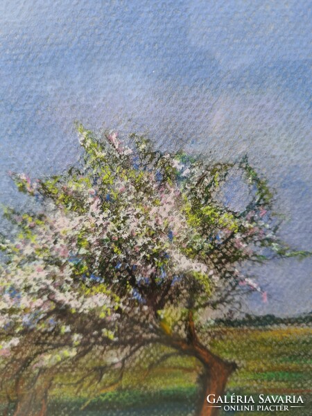 Pasztell festmény 4 évszak - tavasz tájkép, természet