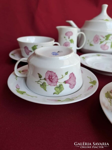 6 Personal lowland porcelain tea set cup jug, sugar bowl, cream nostalgia heirloom