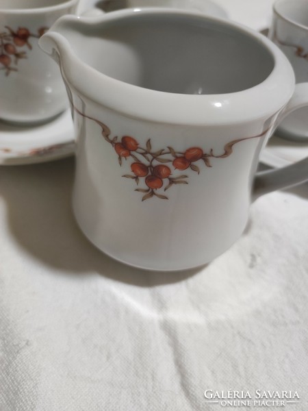 Alföldi porcelain rosehip coffee cups + coaster + 1 milk spout.