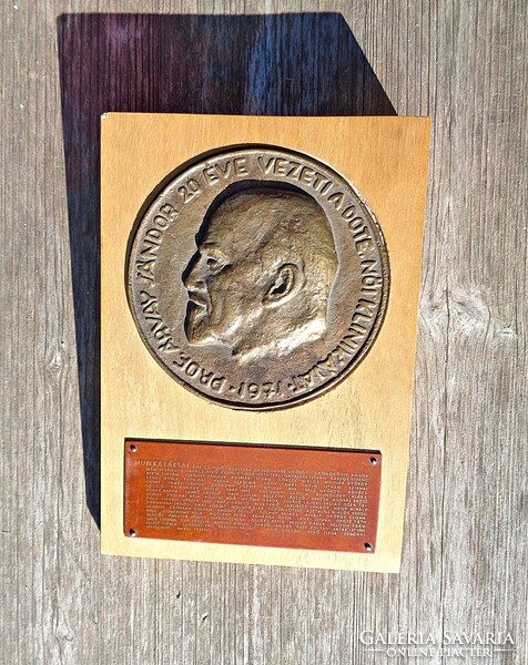 Larger bronze plaque on a wooden base