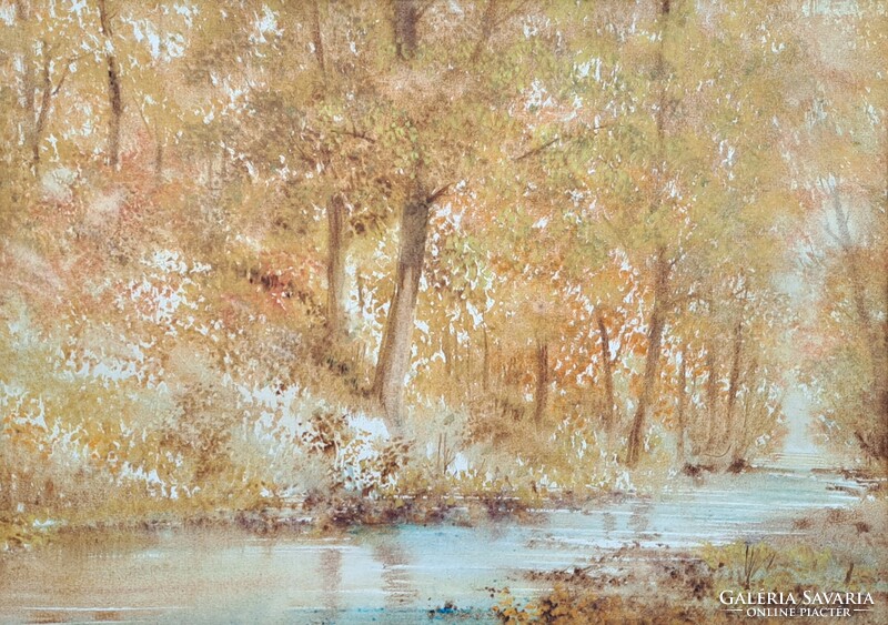 Tibor Nemes (1955-) watercolor landscape - nature - painter from Szentendre