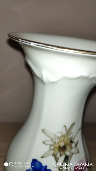 Rosenthal pompadour hand painted vase