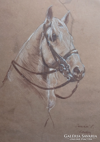 Ló portré - Tamási jelzéssel - London (ceruzarajz kerettel 38x28 cm)
