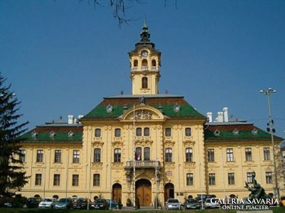 Herendi tálka - Szegedi Városháza