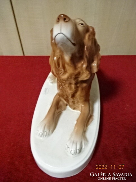 Gránit porcelán kutya figura. Talapzat mérete: 36,5 x 13,5 cm. Vanneki! Jókai.