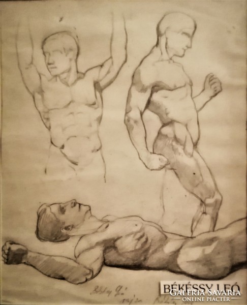 Anatomical study drawing by leó Békéssy