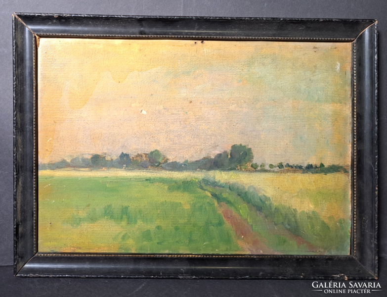Plain landscape - bruckner vali - oil, cardboard - 26x36 cm with frame