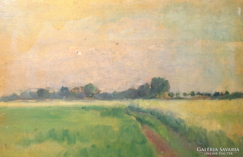 Plain landscape - bruckner vali - oil, cardboard - 26x36 cm with frame