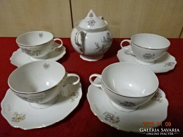 Drasche porcelain, four-person tea set, 9 pieces. He has! Jokai.