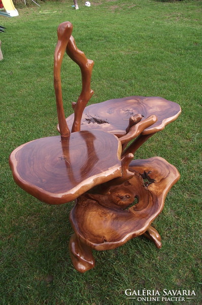 Root furniture