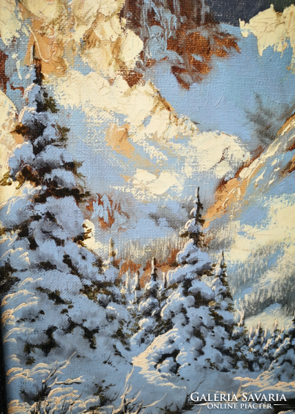 László Neogrády - snowy glimmer in the Tatras