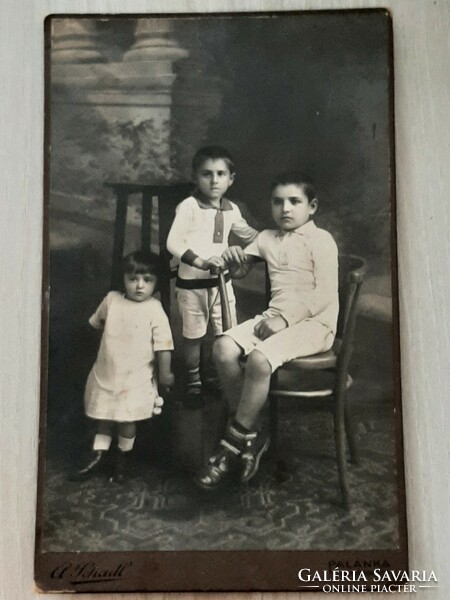 Antique brothers photo in Vojvodina Serbia palanquin 1900s