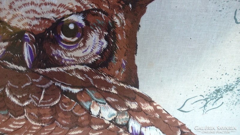 (K) huge owl image + 1 other image