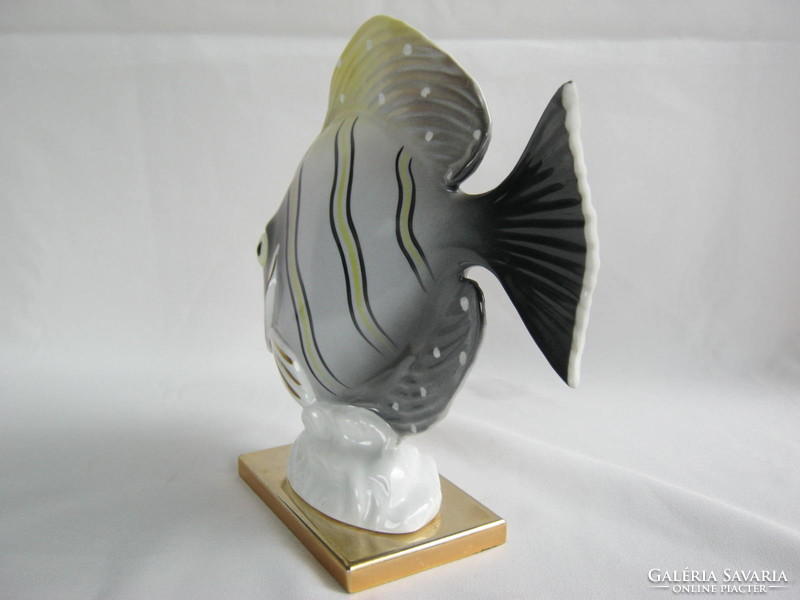 Porcelán színes tengeri hal