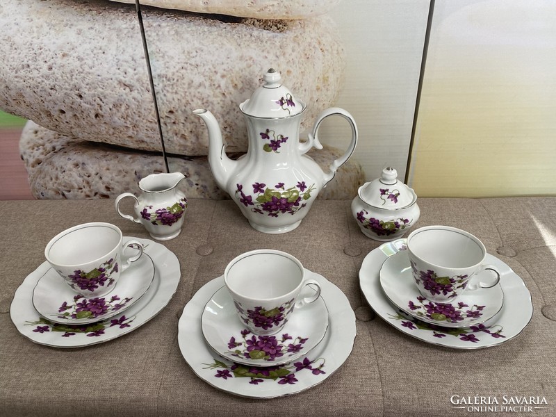Winterling marktleuthen Bavarian porcelain tea set a30