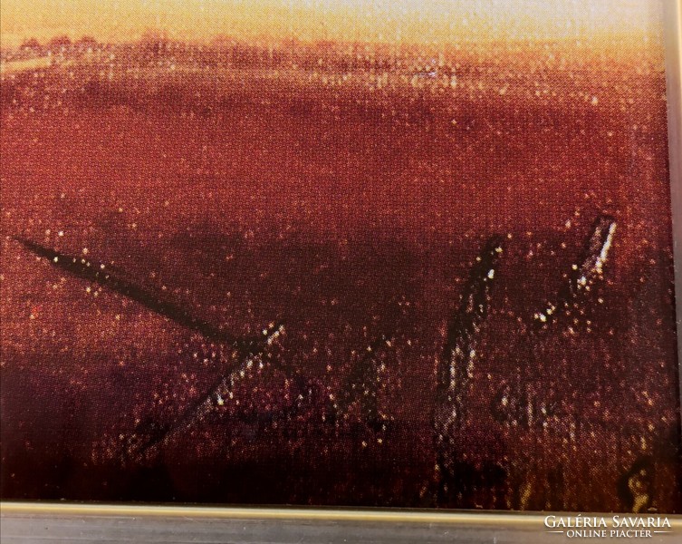 FK/263 - Salvador Dali – Meditative Rose – színes litográfia
