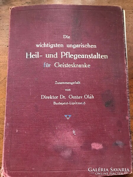 Dr. Gustav Oláh - Heil und Pflegeanstalten für Geistenkranke címmel,német nyelvű orvosi könyv.