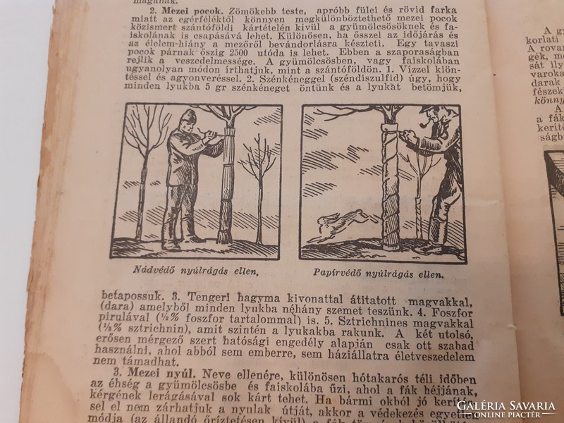 Old 1934 Farming Guide Orchard Management Booklet