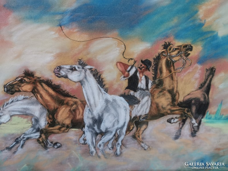 Noel ferenc - foal herding horses