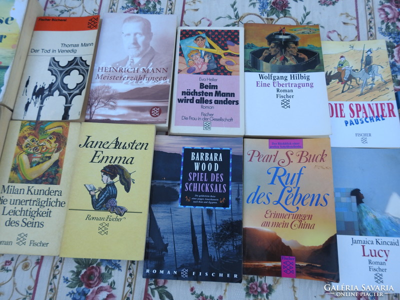 German-language novels at piece rate fischer book publishing house