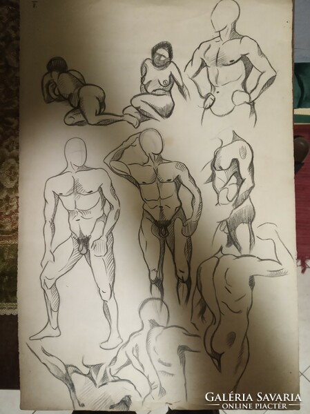 Várady Lajos, anatómiai tanulmány rajza