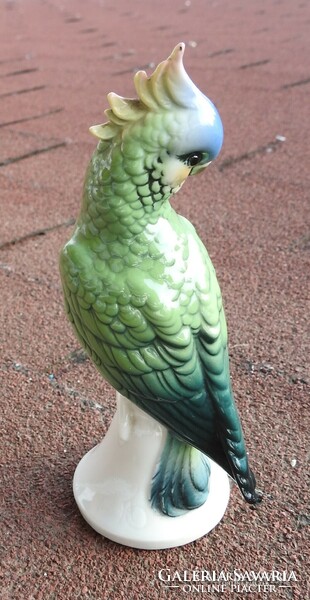 Volkstedt porcelain parrot