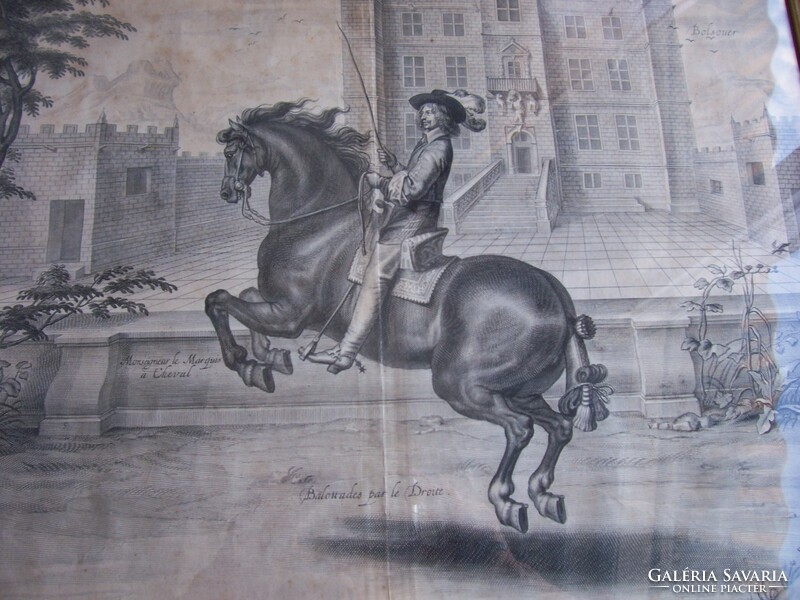 Antique engraving from 1658 p. From Clouwet: page on the art of riding. From a collection of engravings