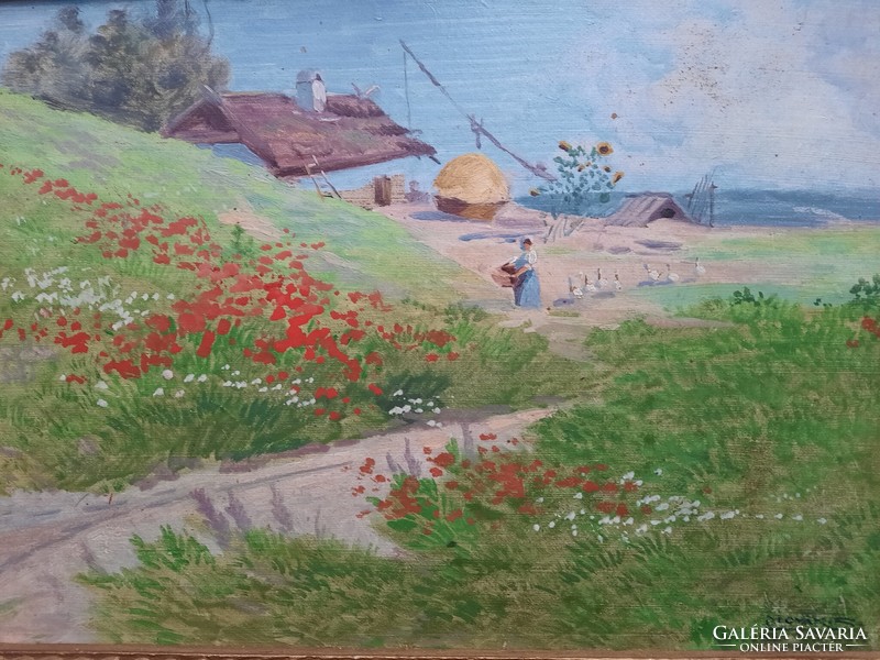 Sándor Novák: poppy landscape with farmhouse - original marked olive tree