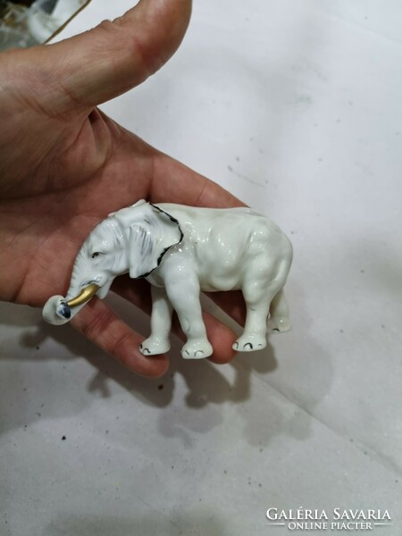 Old porcelain elephant