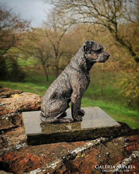Border terrier bronze statue