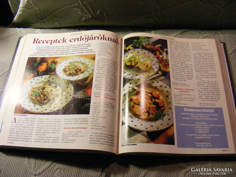 Hungarian kitchen - gastronomic magazine 1999 full year bound together