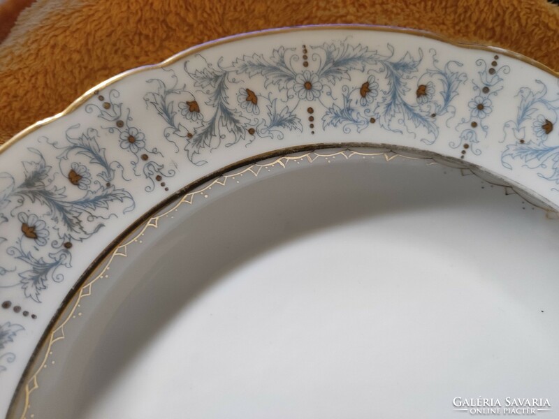 Fischer Emil porcelain factory antique porcelain deep plate 25 cm