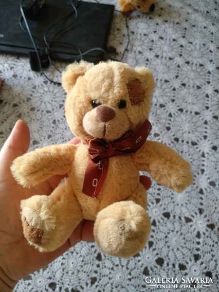 Plush toy, teddy bear, bear, negotiable