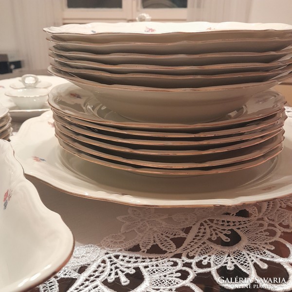 Antique 24-piece Polish porcelain tableware