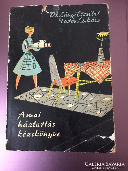 Lukács Dr. Lányi erzsébetúrós: the handbook of today's household (1961)