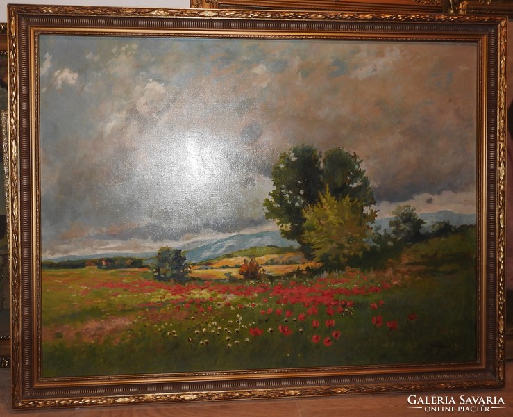 Artúr Tölgyessy (1853 - 1920) field with flowers - oil / canvas painting